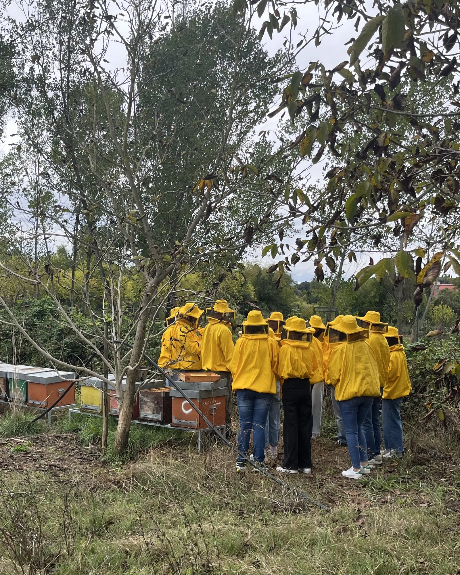 Team aziendale in tuta da apicoltore durante una visita guidata in apiario Beeing